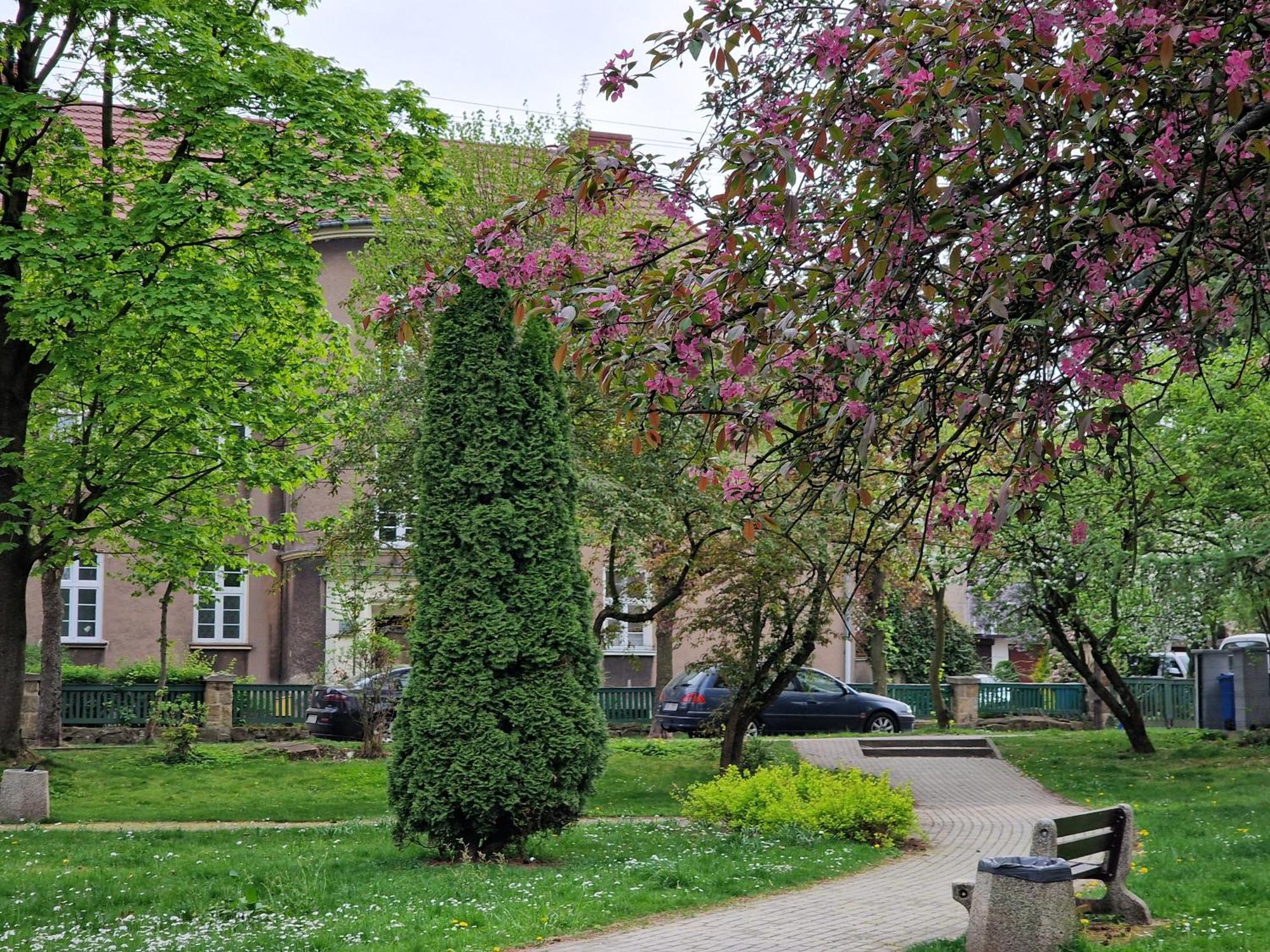 Slowianska 4 Bad Salzbrunn Exterior foto